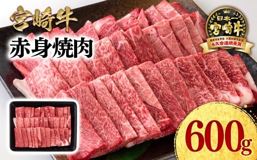 宮崎牛 赤身焼肉600g A4～A5等級 ミヤチク BBQ 牛肉  ＜1.2-73＞