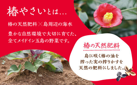 何が届くかはお楽しみ 椿やさいの野菜セット(8-10品)詰合せ 野菜 五島市/いきいきファーム [PCY001]