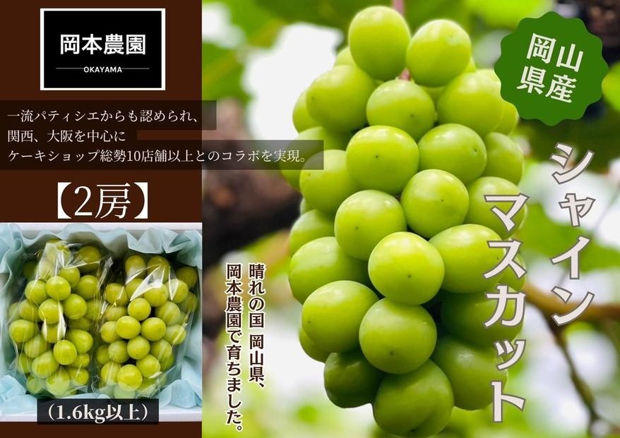 
                  シャインマスカット　2房1.6kg | フルーツ 果物 くだもの 葡萄 ブドウ ぶどう シャインマスカット マスカット ギフト 贈答用 プレゼント 岡山 岡山県産 国産 フルーツ 果物 くだもの シャインマスカット マスカット おすすめ 人気 みずみずしい フレッシュ 温室栽培 晴れの国おかやま 果物大国 彩美菜果
                