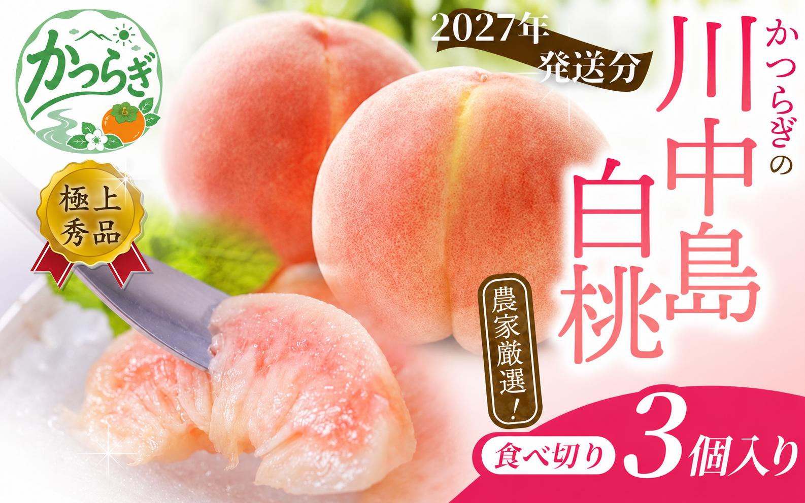 
                  【2026年発送先行予約】【秀品】川中島白桃 食べきりやすい3個入りこだわり 農家厳選 先行予約 モモ  【2026年7月末から8月末順次発送】/ かつらぎ町 和歌山県産 桃 モモ フルーツ 果物 くだもの 人気 産地直送 厳選 甘い 予約【BK016-kgr012】
                