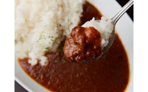 《格之進》門崎熟成肉カレー12箱 【 小分け 個包装 簡単調理 ビーフカレー 岩手 一関 】