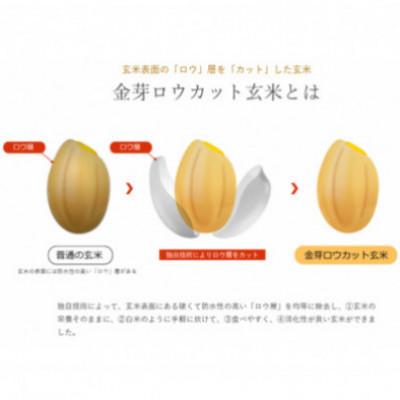 ふるさと納税 田尻町 【毎月定期便】金芽ロウカット玄米4kg(2kg×2袋)ふっくら柔らかい美味しさ!全5回 |  | 03