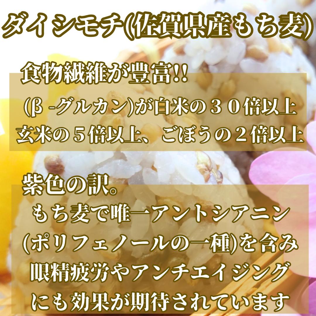 CIB41_【１０回定期便】ダイシモチ２ｋｇ もち麦 キラリ もち麦ごはん