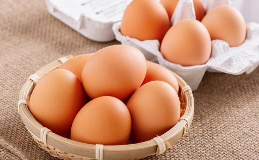 平飼い有精卵『たつかの恵み』40個× 5ヶ月連続お届け SBTT004