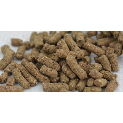 ふるさと納税 小諸市 小諸産シカ肉ドライフード(犬・猫用)100g×30袋 |  | 01