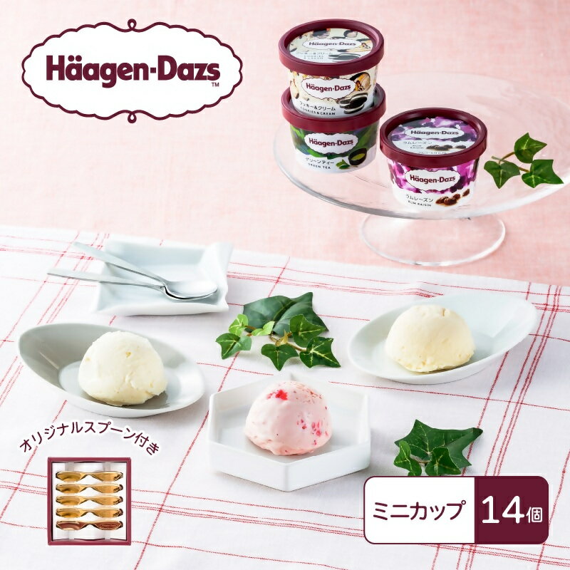 【ふるさと納税】ハーゲンダッツ　スタンダードセット／アイス　ミニカップ　人気フレーバー　詰合せ　スプーン付き