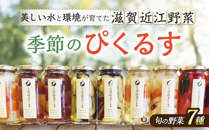 
滋賀近江ぴくるす 季節の7種セット　滋賀県長浜市/株式会社わたなべ陶器 [AQAC020]
