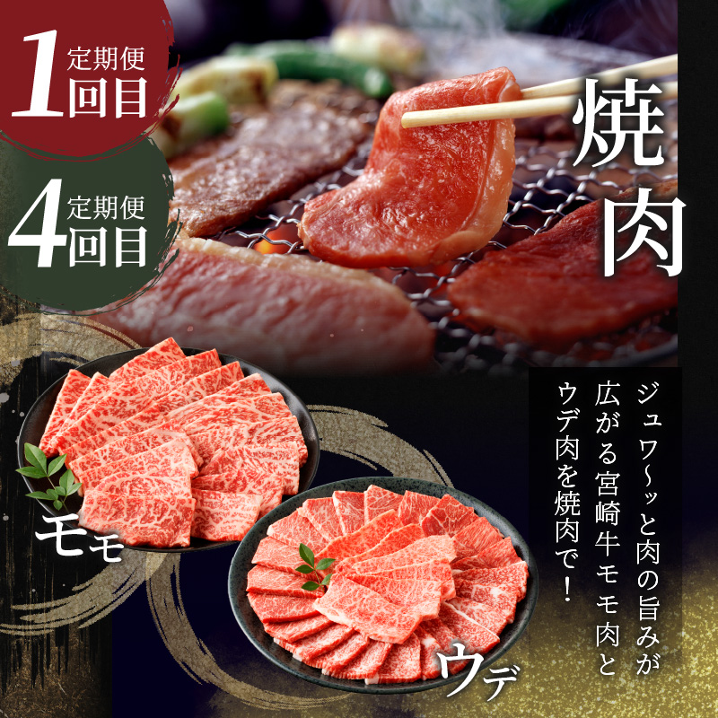 6か月お楽しみ定期便『宮崎牛よくばりセット』総重量4.8kg_T030-184【肉 牛 牛肉 おかず 国産 人気 ギフト 食品 すき焼き しゃぶしゃぶ 焼肉 BBQ 送料無料 プレゼント】
