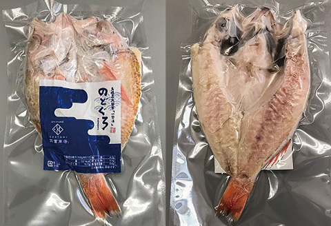【定期便】島根県沖!大ぶり「のどぐろ一夜干」定期便(6回お届け)【定期便 海鮮 のどぐろ 干物 2尾 6回 合計12尾 のどぐろ一夜干し のどぐろ干物 大ぶり 大 個包装 真空パック 冷凍 セット 島