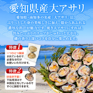 訳あり 大アサリ あさり アサリ 貝 魚貝 1kg 愛知県 南知多町