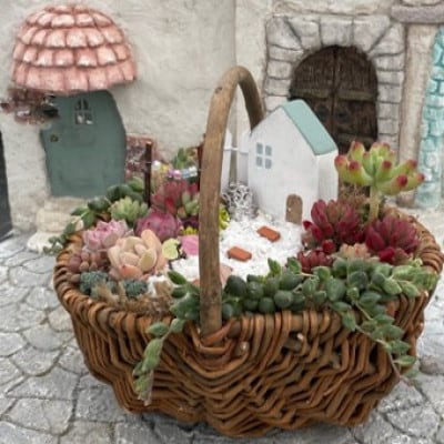 多肉BASE厳選!多肉植物の箱庭風【寄せ植え】1鉢【配送不可地域：離島】【1715898】