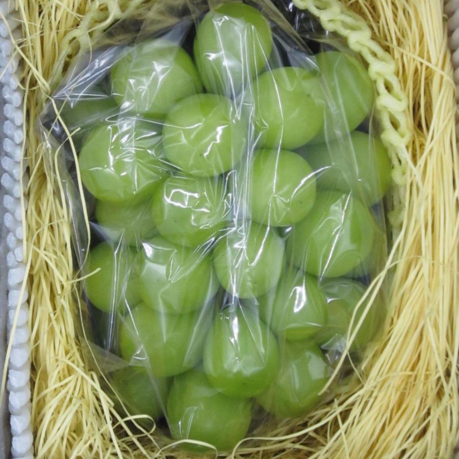 ＜宇和島青果＞【12月下旬発送】シャインマスカット1房
