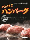 【ふるさと納税】やみつきハンバーグ（6個入） 合挽肉 国産 真空包装 冷凍 那須町 〔P-58〕