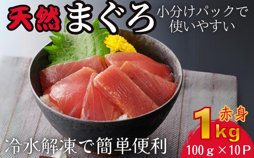 
            【小分けパックで使いやすい】切れてる天然マグロ100g×10P【神奈川県漁連】　M077-005
          
