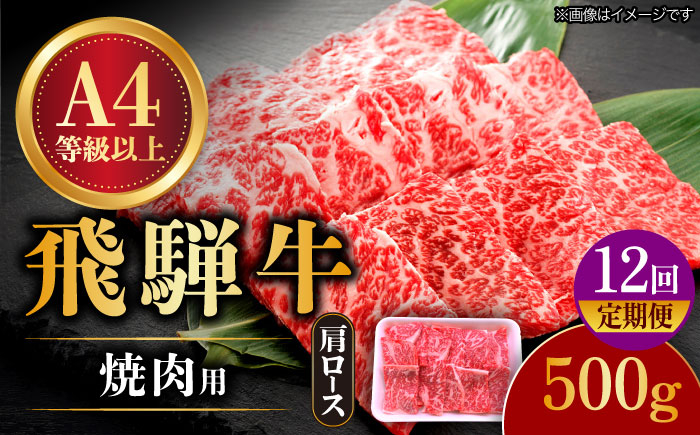 
            【12回定期便】 飛騨牛 焼肉用 ロース・肩ロース 500g A4等級以上 和牛 ブランド牛 国産 牛肉 多治見市 / 渡辺精肉店 [TAZ033]
          