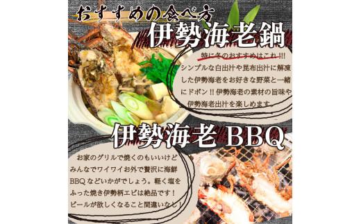 ハーフカット伊勢海老  6ピース2.1kg以上 冷凍 ( 特大サイズ 急速冷凍 えび エビ 高級 鮮魚 海鮮 魚介 刺身 焼き物 汁物 ギフト 贈答 贈り物 祝い 歳暮 中元 年末 年始 早期 予約 