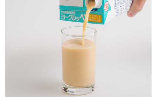 北海道日高乳業 ヨーグルッペ 1000ml×12 【 ふるさと納税 人気 おすすめ ランキング ヨーグルッペ 常温 健康 栄養 ドリンク 飲料 国産 北海道日高乳業 北海道 平取町 送料無料 】BRT