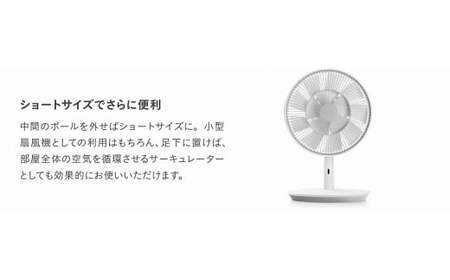 扇風機 バルミューダ TheGreenFan ダークグレー×ブラック