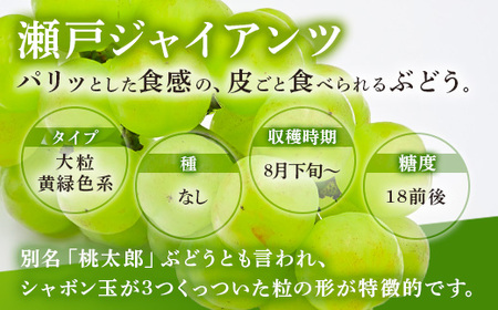西部ぶどう園 瀬戸ジャイアンツ2房と旬のぶどうセット 4～6房 計約2kg 葡萄 フルーツ 果物 ※2024年9月初旬～10月初旬頃に順次発送予定　※沖縄・離島への配送不可