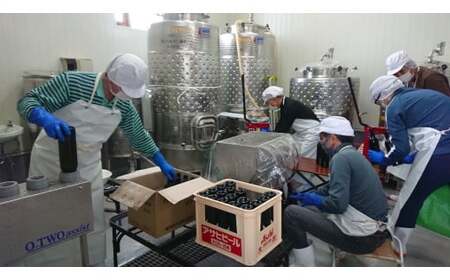 丘の上 幸西ワイナリー カベルネフラン2024 | ワイン 赤 お酒 丘の上 幸西ワイナリー ノンバリック 長野県 塩尻市