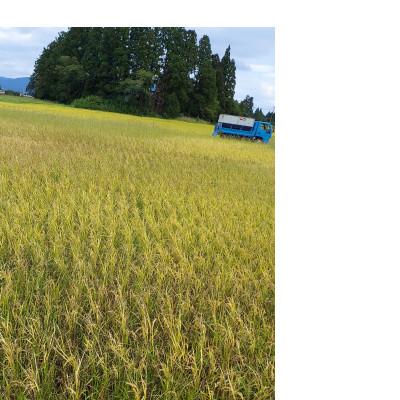 ふるさと納税 花巻市 【令和7年産】銀河のしずく 厳選プレミアム　玄米 5kg タカハシ農園 |  | 03