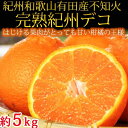 果肉プリプリ♪完熟 紀州デコ(不知火) 5kg【でこぽん デコポン しらぬい 不知火 柑橘】