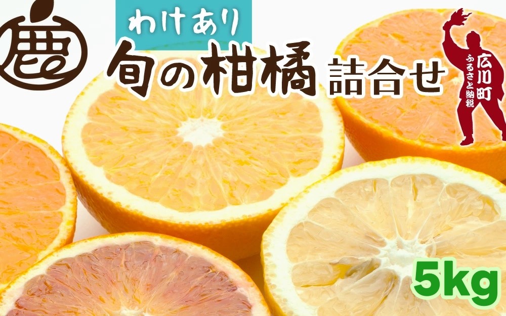 
                  柑橘 詰合せ 5kg+250g 訳あり 光センサー / みかん 不知火 清見 八朔 伊予間 セミノール レモン ３種類以上 詰め合わせ 晩柑 ※1月上旬〜6月上旬に順次発送 ※北海道・沖縄・離島への配送不可【ikd049-c-5B】
                