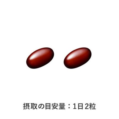 ふるさと納税 富士市 プレミアムビタミン 約30日分(60粒)(1729) |  | 02