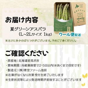 【先行予約/令和6年産】北海道岩見沢産　夏グリーンアスパラ　L～2Lサイズ 1kg【41104】