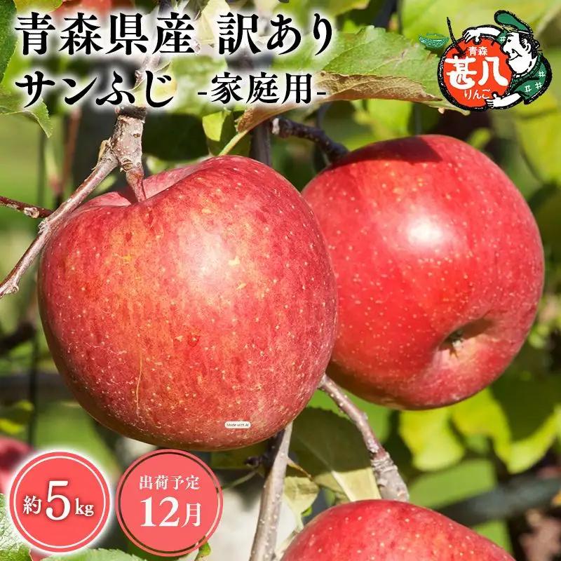 りんご 家庭用　サンふじ５kg りんご
