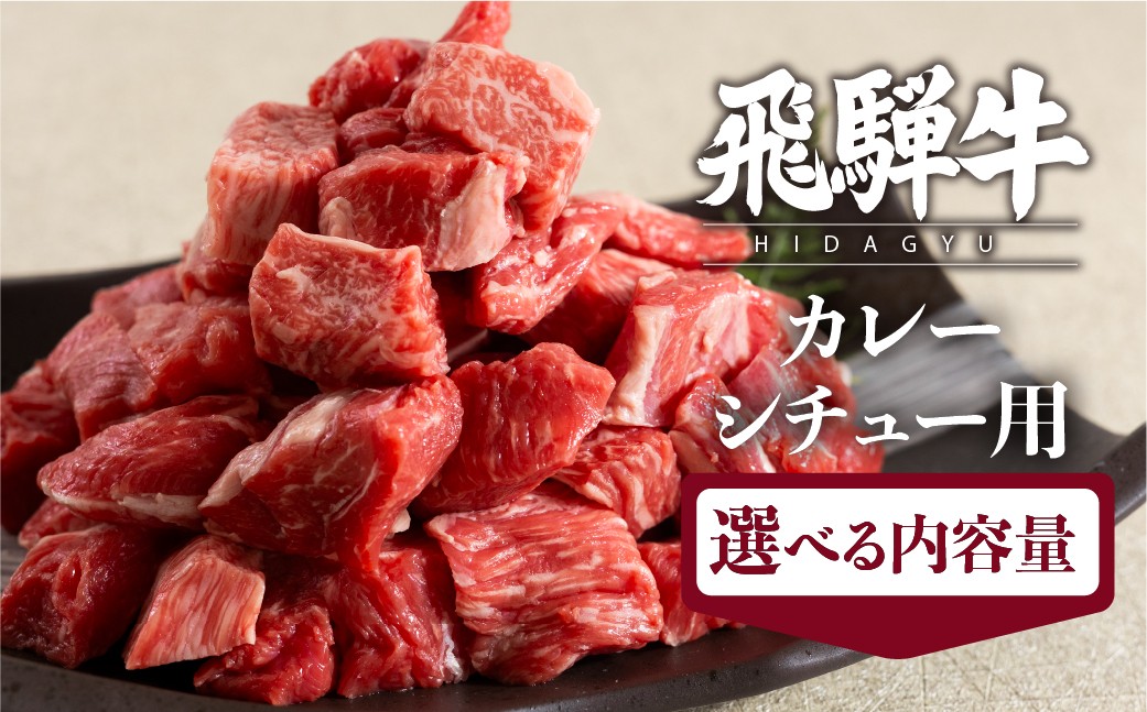 
            飛騨牛 カレーシチュー用 選べる内容量 500g 800g スネ肉等 牛肉 和牛 肉 国産 カレー 煮込み ビーフシチュー 
          