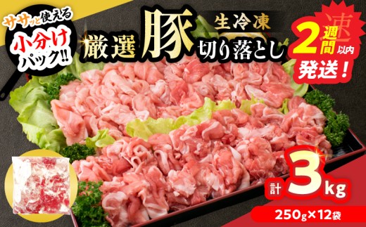 冷凍 厳選 豚切り落とし 計3kg 国産 食品 豚肉 ぶた ポーク 小分け 個包装 真空パック 便利 生姜焼き 野菜炒め 豚汁 肉じゃが 豚丼 お弁当 おかず 晩ご飯 おすすめ 使い切りサイズ 万能食材 おすそ分け 宮崎県 日南市 送料無料_C167-26-2W