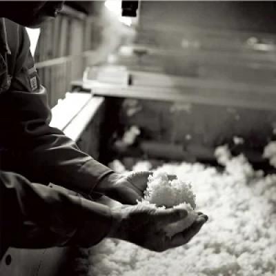 ふるさと納税 多良木町 全麹仕込みの「待宵(まつよい)」28度 720ml  2本セット |  | 03