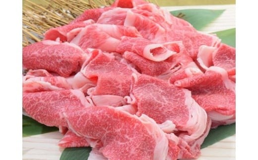 
            佐賀牛切り落とし500g
          