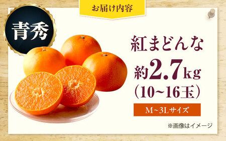 みかん 紅まどんな 約2.7kg フルーツ 果物 みかん BJCM008