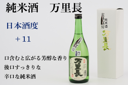 TheSAGA認定酒 純米酒おまかせ2本 定期便3回(H072145)
