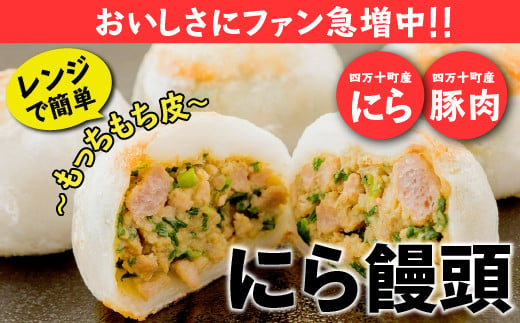 
もっちもち皮にファン急増中！にら饅頭セット Qak-A27 にらまんじゅう 国産 人気 おすすめ 冷凍 特産品 お取り寄せ 四万十
