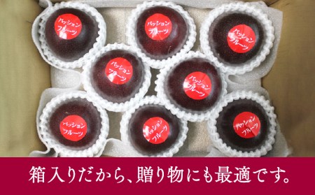 期間・数量限定８年かけて誕生した宮崎県産極上パッションフルーツ　Ｌ　2kg 2024年発送