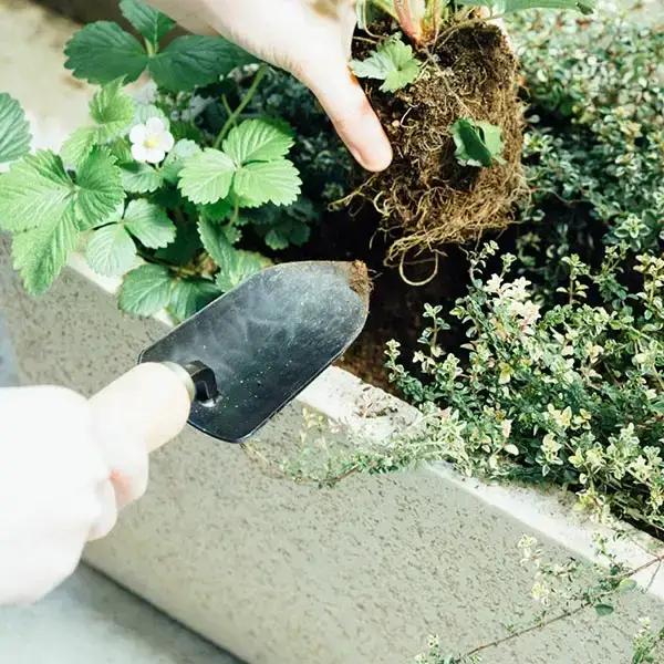移植ゴテ 小 スタイリッシュ 移植ごて プロ仕様 おしゃれ ガーデニング用品 園芸用品 燕三条製 [近藤製作所] 【014P022】