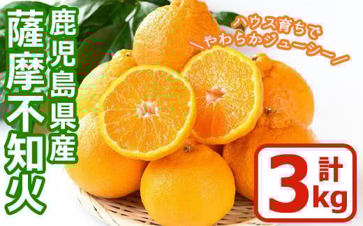 
            No.146 ＜先行予約受付中！2026年1月中旬～2月下旬までの間に発送＞《期間・数量限定》鹿児島県産！薩摩不知火(3kg) みかん ミカン 蜜柑 不知火 しらぬい さつま 柑橘 フルーツ 青果 果実 鹿児島 国産 九州産 ギフト 贈答【黒川農園】
          