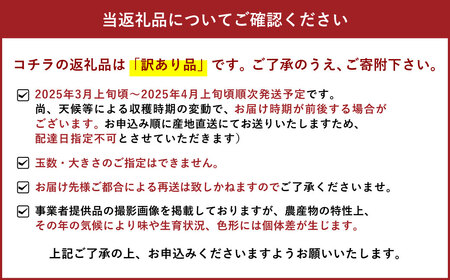 宇城市産 訳あり不知火 約5kg（15～22玉）【高岡農園】【2025年3月上旬～2025年4月上旬発送予定】不知火 デコポン 柑橘 果物 フルーツ 完熟