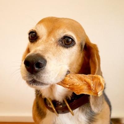 ふるさと納税 福岡市 福岡市【無添加 犬のおやつ】おいしい香り!鶏ささみ姿干し(5本入り×4袋セット) RS02 |  | 03