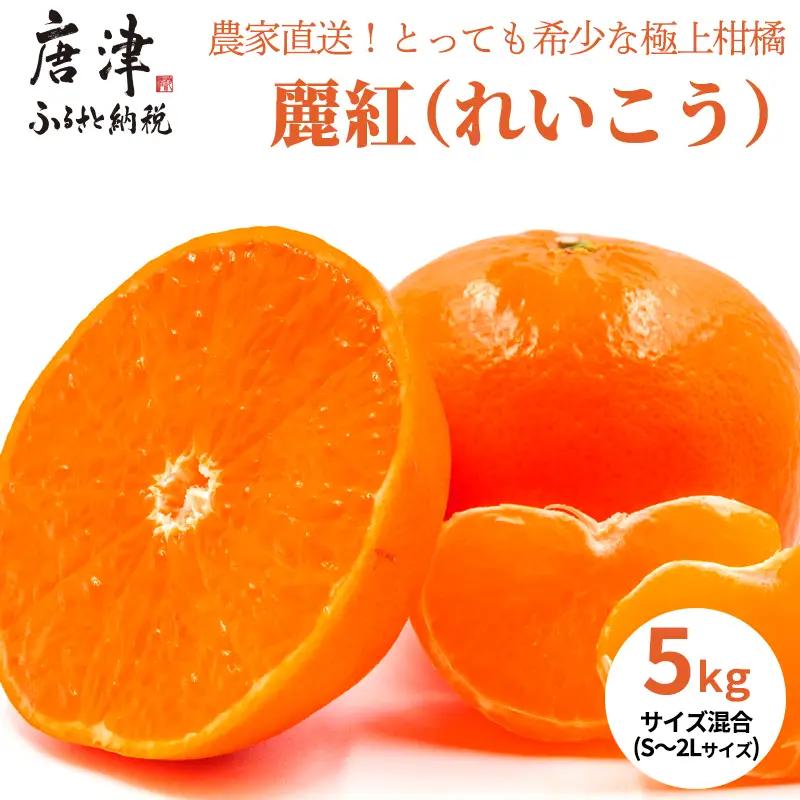 『先行予約』【令和9年1月下旬発送】麗紅(れいこう）ハウス栽培 唐津産 5kg 混合サイズ みかん 蜜柑 柑橘 果物 フルーツ