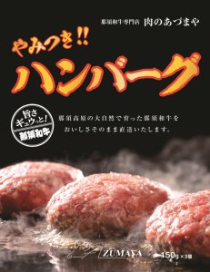やみつきハンバーグ（3個入）◇ 合挽肉 国産 真空包装 冷凍 那須町 〔P-57〕