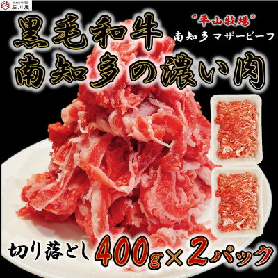 【ふるさと納税】 数量限定 国産 牛肉 切り落とし 800g ( 400g × 2P ) 4人前 南知多 マザービーフ 冷凍 お肉 牛 肉 牛丼 丼 ビーフシチュー 小分け パック ご飯 料理 人気 おすすめ 愛知県 南知多町 【配送不可地域：離島】
