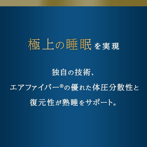エアウィーヴ 四季布団 和匠 ダブル 布団
