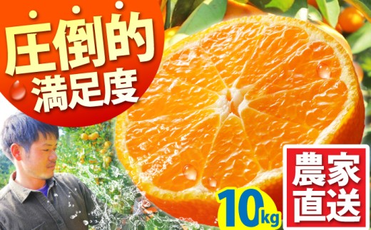みかん「2026年10月下旬～発送」★ 温州みかん 10kg ★ / みかん ミカン 蜜柑 フルーツ 果物 くだもの 柑橘 旬 果実 甘味 酸味 甘い mikan 産地直送 ミカン 農家直送 数量限定 国産 先行予約 ご家庭用 ミカン ご当地 お返し 贈り物 人気 贈答用 家庭用 土産 手土産 みかん / 南島原市 / 蜜柑屋まつお [SCQ002]