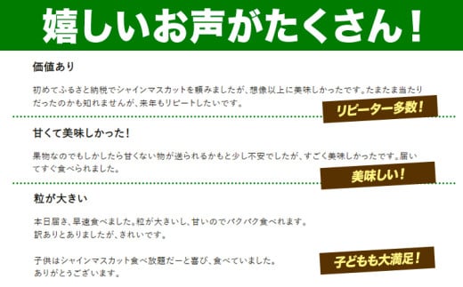 【2026年発送先行予約】厳選 シャインマスカット 約1.3kg 2-3房《2026年9月上旬-11月中旬頃に出荷予定》ぶどう 種なし ぶどう 岡山 ぶどう 先行予約 ぶどう シャインマスカット 大粒