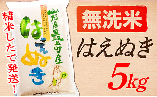 
【令和6年産】【無洗米】山形県産はえぬき5kg
