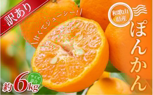 【訳あり】 森本農園の手選別 ポンカン 約6kg 和歌山県産 サイズ混合 【2026年1月上旬～2月上旬頃に順次発送】【RN14】